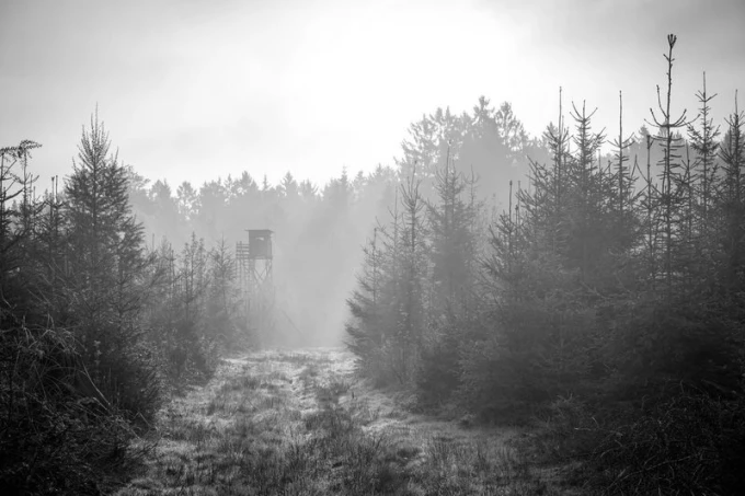 Forest ranger observation tower wall mural FP 1774 - Graphic design featuring a tower surrounded by trees.
