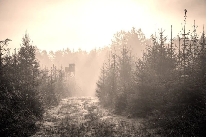 Forest ranger observation tower wallpaper FP 1774 - Graphic design featuring a tower surrounded by trees and mist.