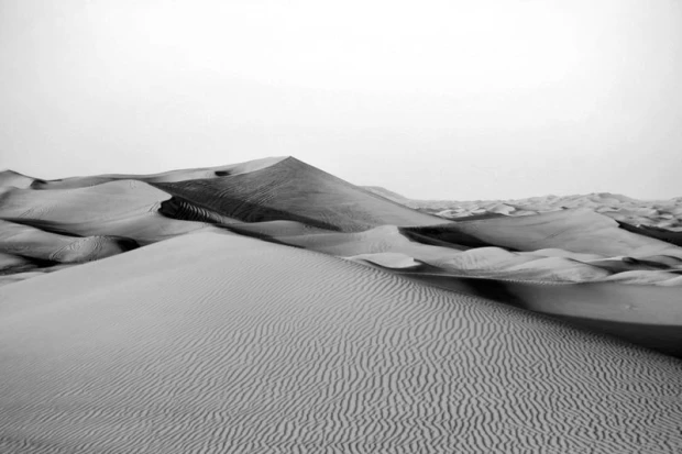 Dubai Desert Wall Mural FP 1897 - Graphic design featuring wavy sands and patterns on the surface.