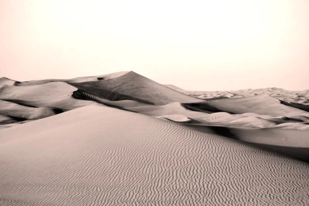 Desert Dubai wall mural FP 1897 - Graphic design featuring wavy sand dunes and soft textures.