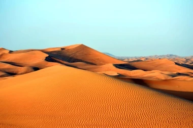 Dubai Desert Wall Mural FP 1897 - Graphic design featuring sandy dunes with wavy shapes and delicate lines.