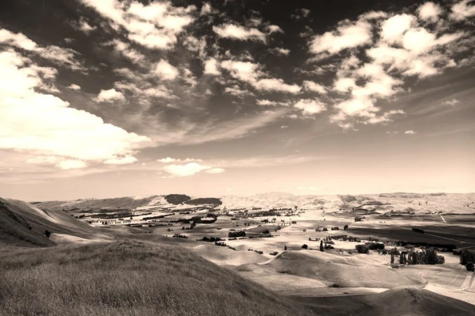 Wall mural of meadow fields FP 1888 - Graphic design featuring expansive fields, trees, and clouds in the sky.