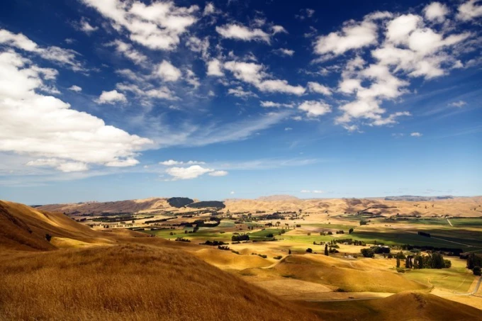 Wall mural of meadow fields FP 1888 - Graphic design featuring green and yellow fields with a blue sky.