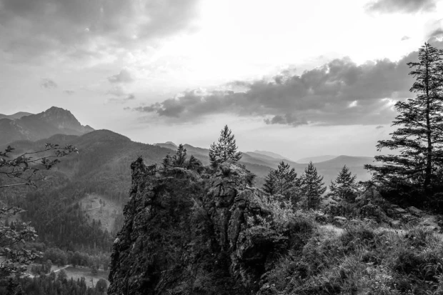 Wall mural featuring a stunning mountain view FP 1946 - Graphic design with trees and rocks in the foreground.