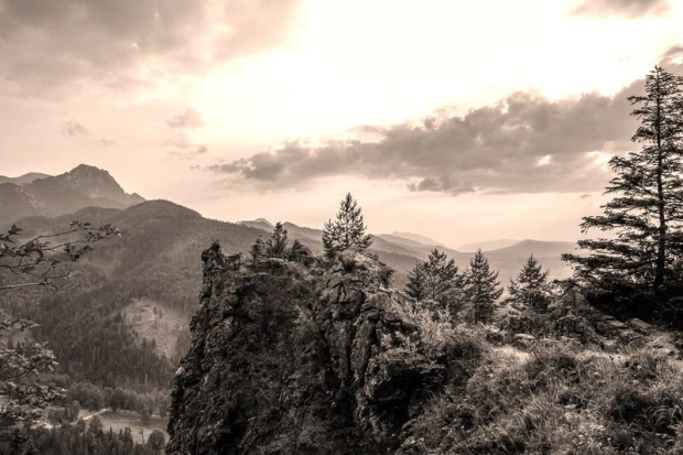 Wall mural featuring a beautiful mountain view FP 1946 - Graphic design with landscapes of trees and rocks.