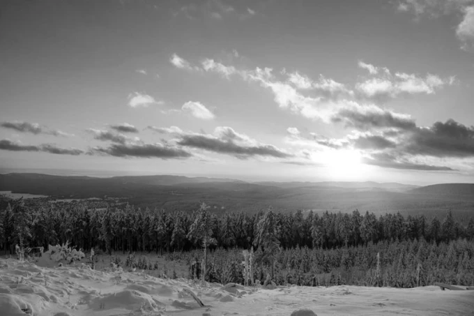 Winter sunset wall mural FP 1940 - Graphic design. View of a forest in a winter setting with a setting sun.