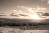 Winter sunset wall mural FP 1940 - Graphic design. View of the setting sun over a snowy forest.