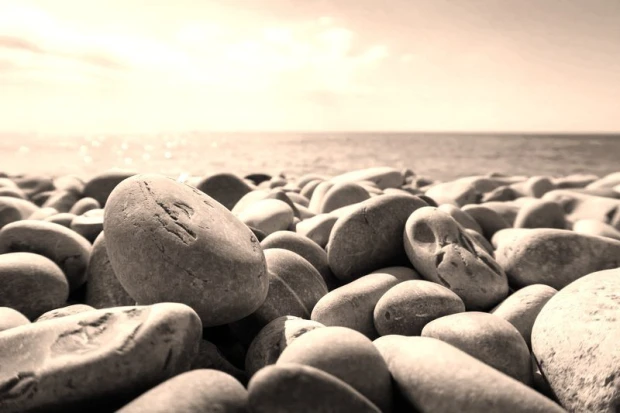 Beach pebble wall mural FP 2017 - Graphic design featuring smooth pebbles in various shapes and sizes.