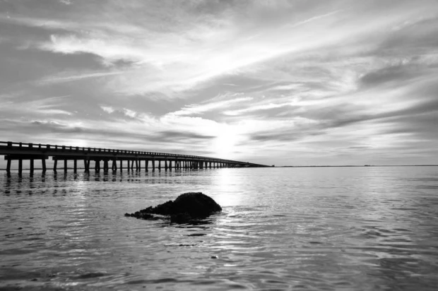Sunset wall mural with a view of a pier, featuring water and clouds in various shades.