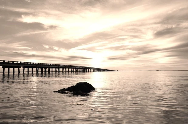 Sunset wall mural with a pier view, featuring water and clouds in soft shades.