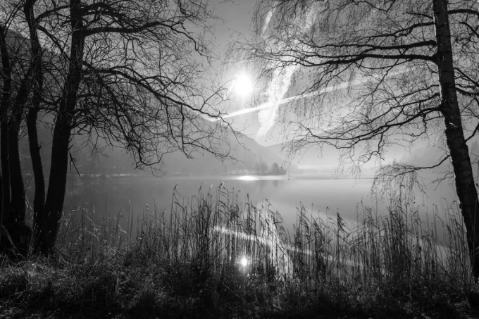 Wall mural wild lake FP 2099 - Graphic design. Black and white scene with a lake, trees, and reflection in the water.