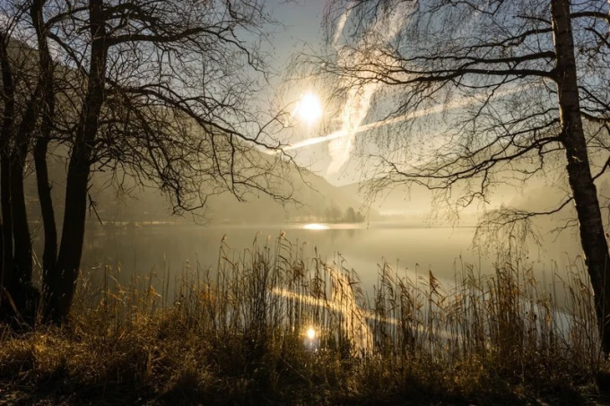 Wall mural wild lake FP 2099 - Graphic design. View of a lake with trees, fog, and sun in the background.
