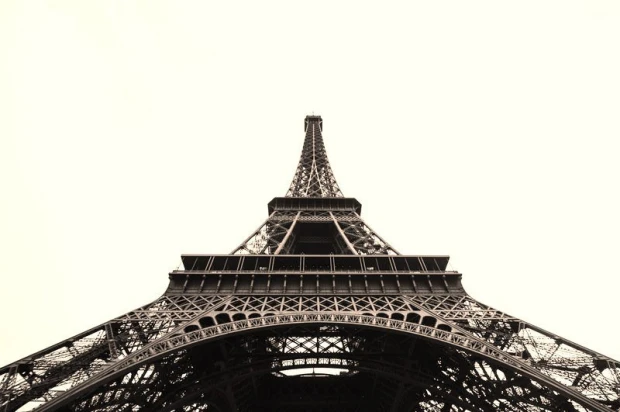 Wall mural Eiffel Tower FP 2178 - Graphic design. View of the Eiffel Tower from below in black and white shades.