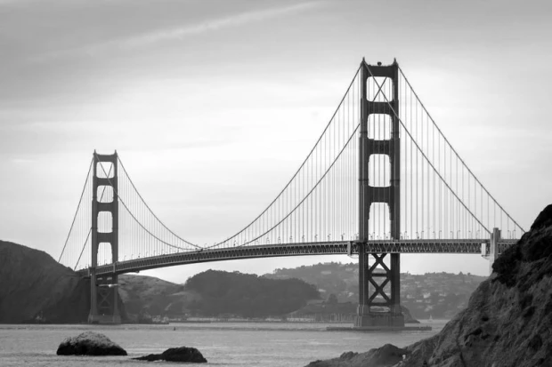 Wall mural of the Golden Gate Bridge FP 2197 - Graphic design in shades of gray against a water backdrop.