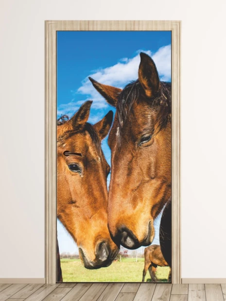 Wall mural for doors featuring two brown mares against a sky with clouds. Design code: FP 3018 D.