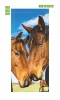 Wallpaper for doors featuring two mares against a cloudy sky background. Design FP 3018 D.