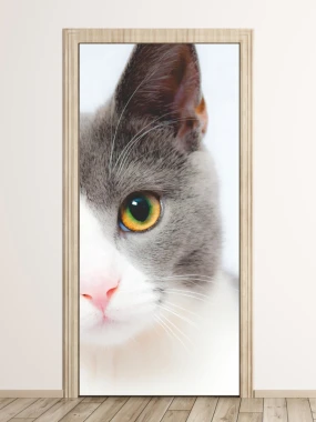 Cat door wallpaper FP 2987 D - Graphic design featuring a large gray and white cat head with green eyes.