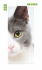 Cat door mural FP 2987 D - Graphic design featuring a close-up of a cat\'s head with a green eye and gray fur.