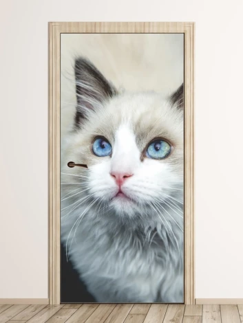 Door wallpaper of a purebred cat FP 3038 D - Styled in a bright room with neutral-colored walls.