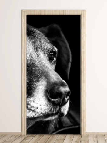 Door wallpaper dog FP 2966 D - Graphic design featuring a close-up of a dog in black and white shades.