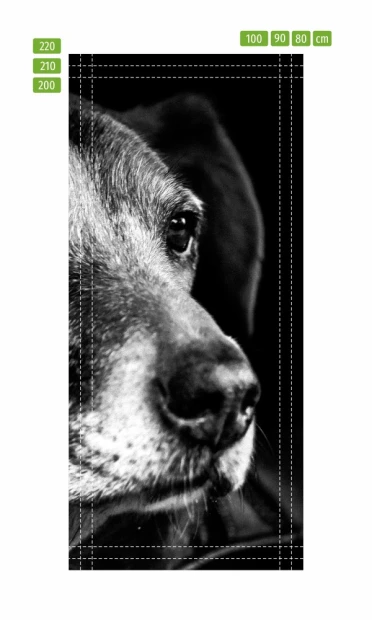 Door wallpaper dog FP 2966 D - Graphic design featuring a close-up of a dog in black and white shades.