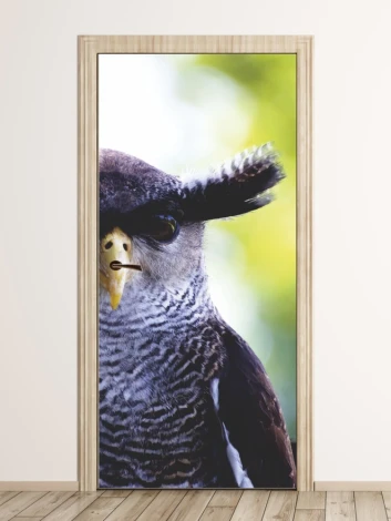 Black owl door wallpaper FP 2837 D - Graphic design featuring a detailed owl with a yellow beak on a blurred background.