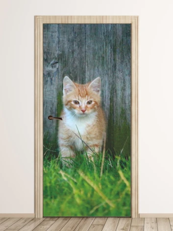 Cat wallpaper for doors FP 2899 D - A graphic design featuring a ginger cat on grass in front of a wooden wall.