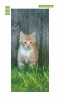 Cat door wallpaper FP 2899 D - Graphic design featuring an orange kitten against a wooden fence background.