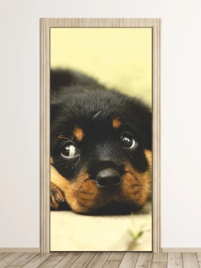 Door mural small puppy FP 2871 D - Graphic design. Puppy lying on the ground with big eyes and black fur.