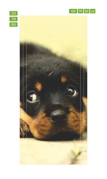 Door mural small puppy FP 2871 D - Graphic design. Puppy with big eyes lying on the ground, its features visible.