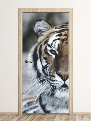 Tiger door mural FP 2912 D - Graphic design featuring a close-up of a tiger\'s head with vivid details.