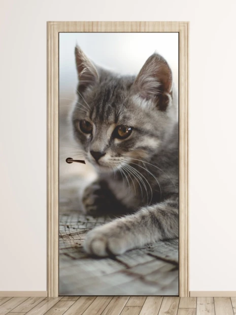 Cat door wallpaper FP 2725 D - Graphic design featuring a gray cat lying on a wooden surface.