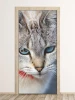 Cat\'s gaze door wallpaper FP 2745 D - Graphic design featuring a close-up of a cat with blue eyes.