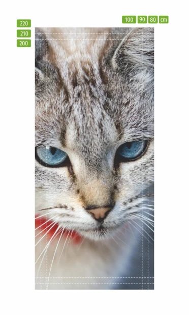 Cat\'s gaze door wallpaper FP 2745 D - Graphic design featuring a close-up of a cat with blue eyes.