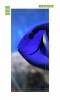 Blue fish door mural FP 2735 D - Graphic design featuring a blue fish with yellow accents.