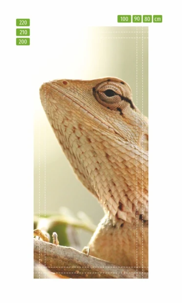 Lizard door mural FP 2650 D - Graphic design featuring a lizard with detailed skin textures.