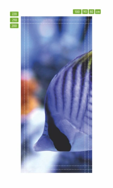 Coral reef fish door mural FP 2663 D - Graphic design featuring a blue fish with distinct stripes.