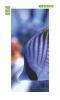 Coral reef fish door mural FP 2663 D - Graphic design featuring a blue fish with distinct stripes.
