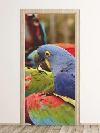 Colorful parrot door wallpaper FP 2567 D - Graphic design featuring parrots in shades of green, red, and blue.