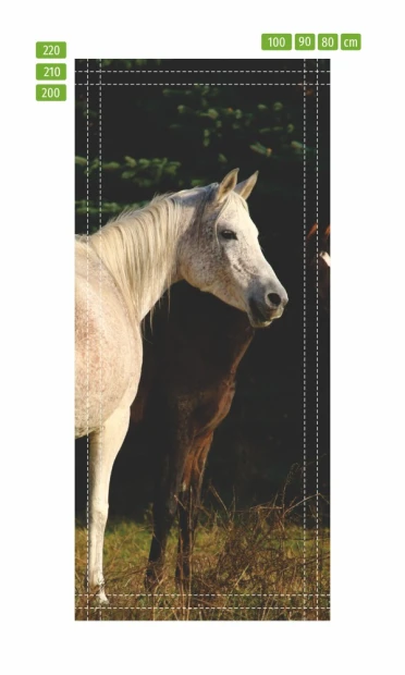Door wallpaper featuring two horses in a meadow, one white and one dark, with a scenic background.