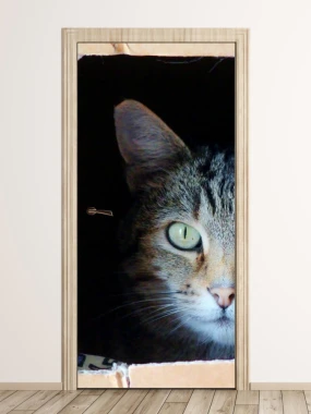 Door wallpaper cat FP 2571 D - Graphic design. A cat with green eyes gazes from a dark background.