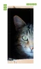 Cat door mural FP 2571 D - Graphic design featuring a cat\'s head with visible eyes and ear.
