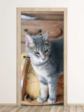 Door wallpaper cat FP 2607 D - Styled in a room with light-colored walls and wooden furniture in the background.