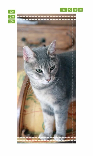 Door wallpaper cat FP 2607 D - Graphic design featuring a gray cat against a background.