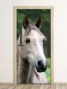 Gray horse door mural FP 2625 D - Graphic design featuring a gray horse\'s head against a green background.