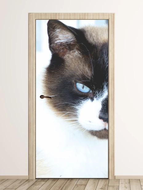 Blue-eyed cat door mural FP 2536 D - Graphic design. Cat with blue eyes on a light background.