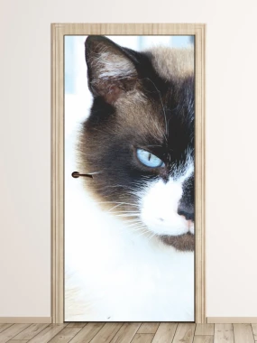 Blue-eyed cat door mural FP 2536 D - Graphic design. Cat with blue eyes on a light background.