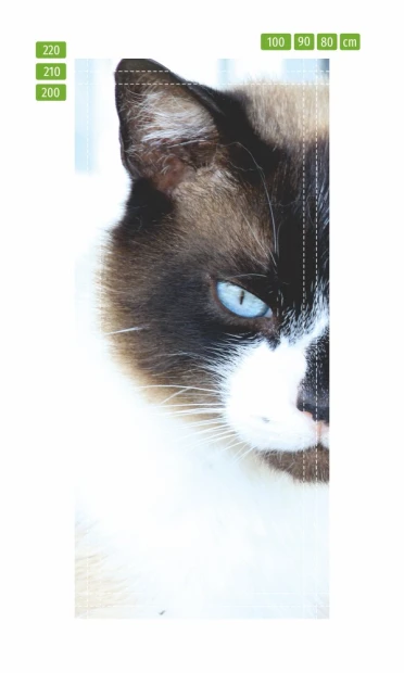 Blue-eyed cat door mural FP 2536 D - Graphic design featuring a cat with blue eyes and brown ears on a white background.