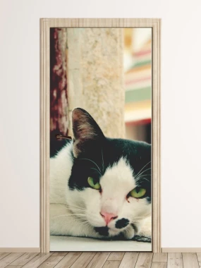 Black and white cat door mural FP 2515 D - Graphic design. Cat lying down with black and white fur and green eyes.