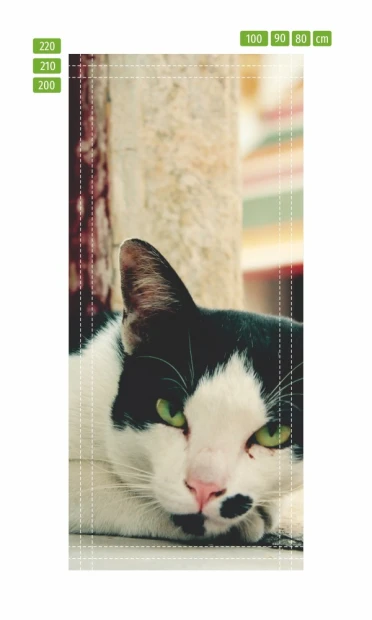 Black and white cat door wallpaper FP 2515 D - Graphic design. Cat lying on the floor with white fur and black spots.
